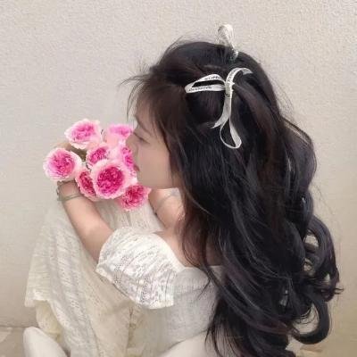 伯德小姐 海报
